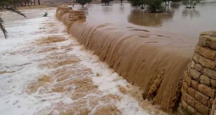 جندوبة : العثور على جثّة طفلة الأربع سنوات بعد 3 أيام من البحث