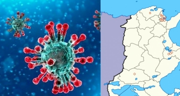 توزيع الإصابات الجديدة بالكورونا حسب الولايات