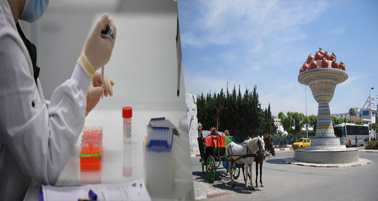 ولاية نابل فيروس كورونا