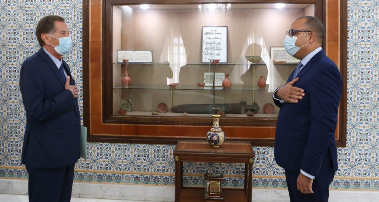 المشيشي : تونس حكومة وشعبا ستكون دائما في صفّ القضية الفلسطينية (فيديو)