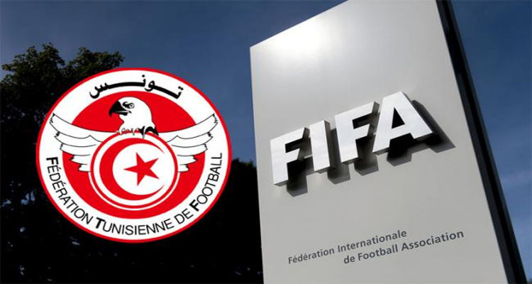 الجامعة والفيفا