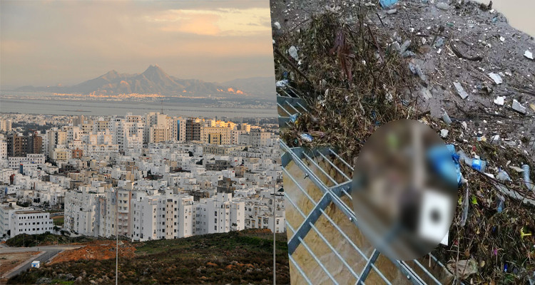 جثة المنزه الثامن