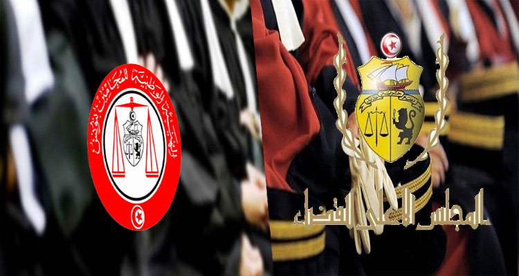 قضاة محاماة