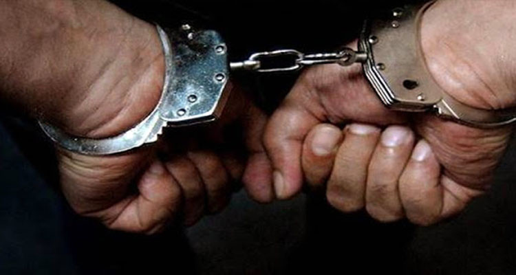 بن عروس: كشف شبكة تزوير بطاقات مهنية تابعة لأحد الهياكل الإدارية العمومية