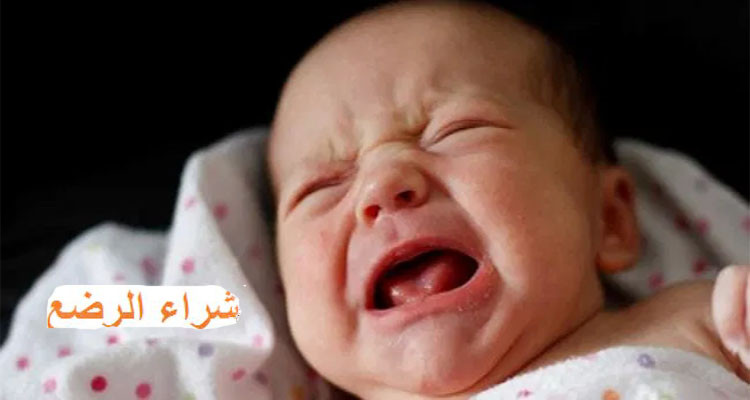 رضيع