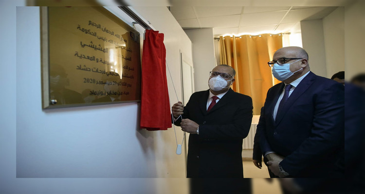 هشام المشيشي وحدة عزل