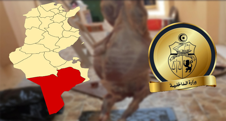 وزارة الداخلية تطاوين