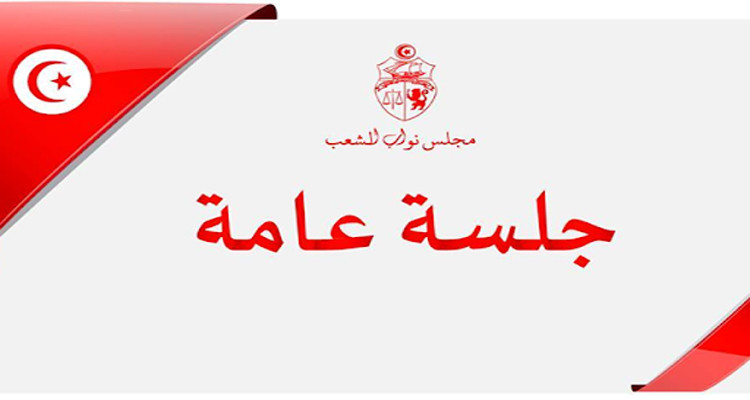 جلسة عامة