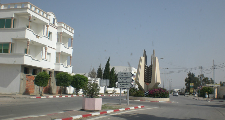 سليانة