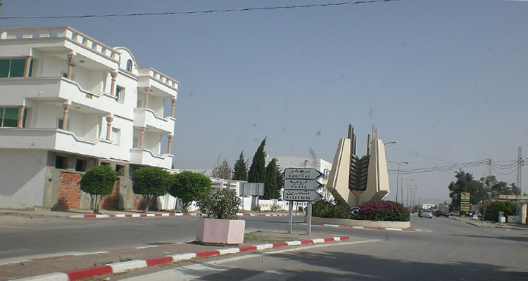 مدينة سليانة