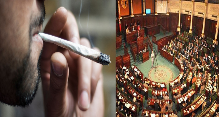 مجلس النواب واستهلاك الزطلة