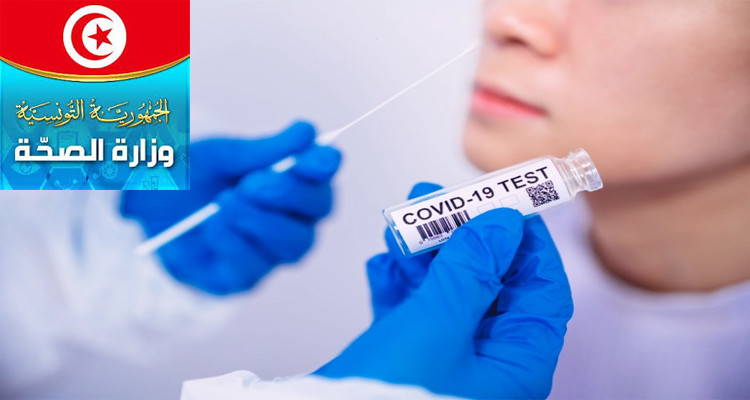 كورونا احصائيات