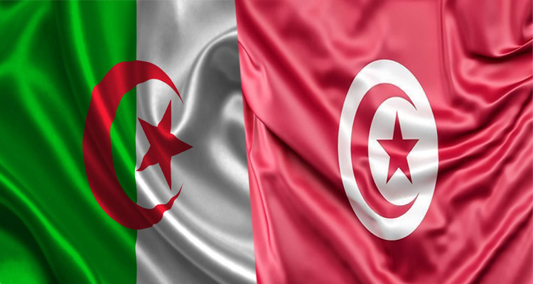 تونس الجزائر تصريحات مسيئة