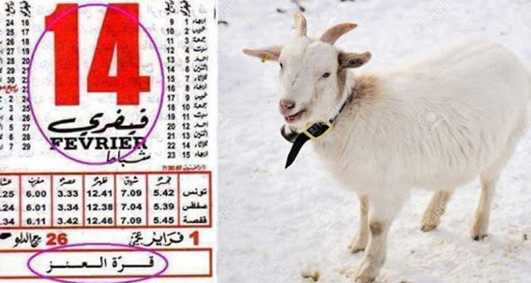 قرة العنز  التقويم الأمازيغي الفلاحي