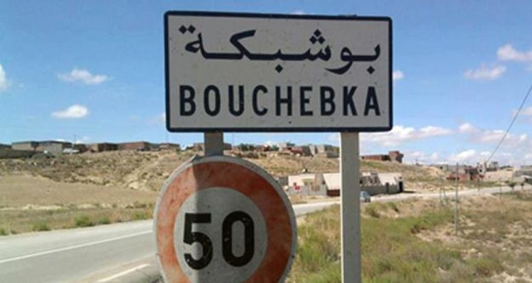 بوشبكة