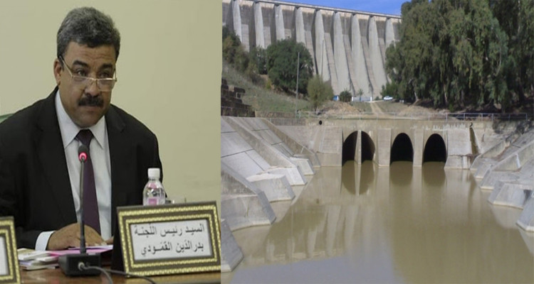 بد الدين القمودي سد سيدي البراق باجة