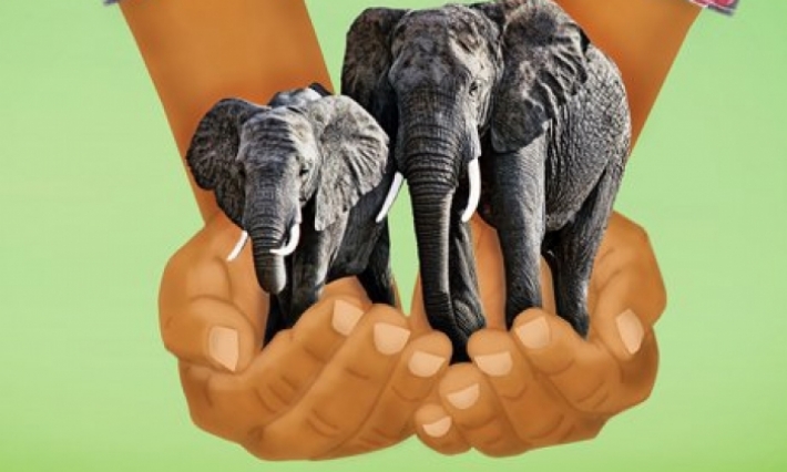 Journée mondiale de la vie sauvage