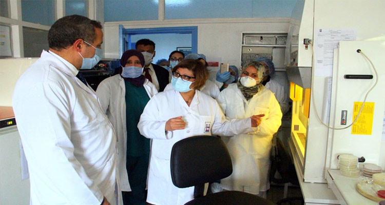 التركيبة الجينية لفيروس كورونا في تونس تتطابق مع الفيروس في أمريكا