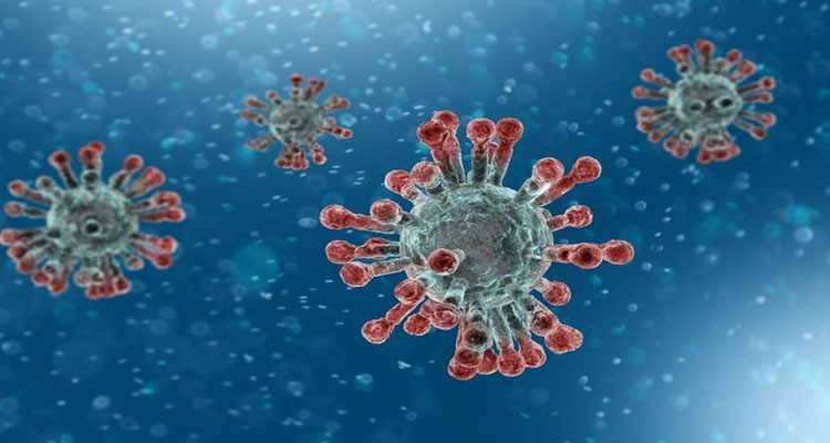 بن خليل: كشف اصابات وافدة لا يحول دون اعلان التحكم في الكورونا