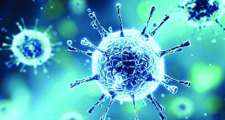 الدكتورة حنان التيويري: فزنا في معركة ولم ننتصر في الحرب