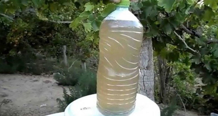 تطاوين: منع بيع اللاقمي بالأسواق بعد تسببه في انتشار الحمى التيفية