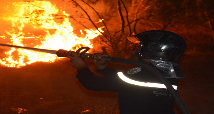 سليانة-كسرى: السيطرة على حريق نشب بـ8 نقاط مختلفة من غابة بوحمدون