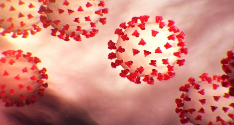 كوفيد19: تسجيل 3600 إصابة جديدة بالكورونا خلال 3 أيام حسب آخر تحيين