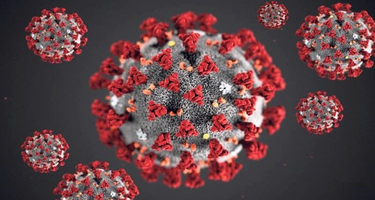 كوفيد19: حالة وفاة و24 إصابة جديدة في ولاية المنستير