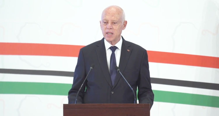 قيس سعيد: سأضع كل الإمكانيات لتخرجوا بتنظيم أو دستور مؤقت للمرحلة الانتقالية