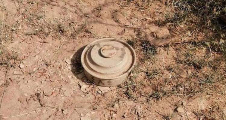 إصابة مواطن بعد انفجار لغم في جبل مغيلة