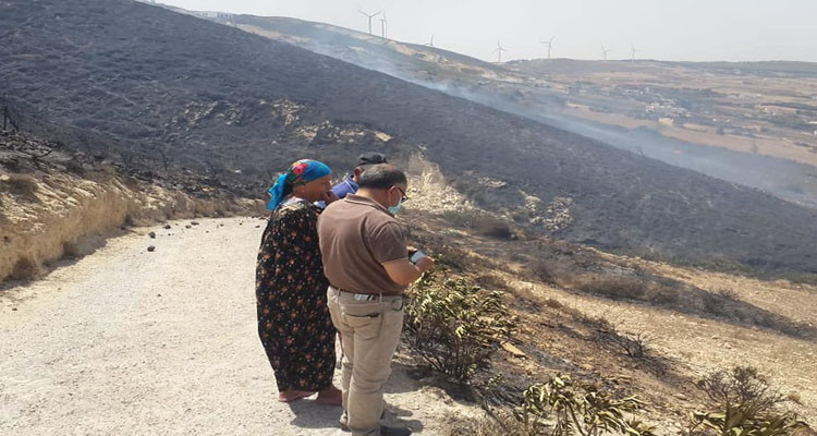 بنزرت: إلقاء القبض على شخص بتهمة افتعال حريق منطقة الدمنة برأس الجبل