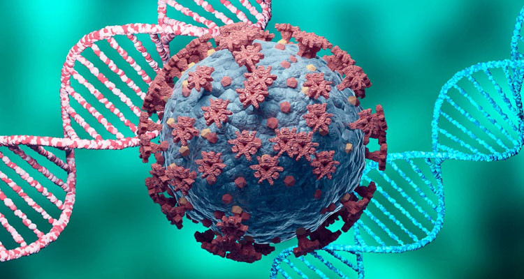 أمين سليم: سلالة دلتا الهندية انتشرت بشكل كثيف في تونس قبل شهر من انتشارها بأوروبا