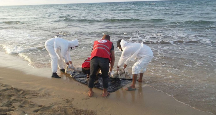 بنزرت: شاطئ كاف عباد بسجنان يلفظ جثة مشوهة لكهل