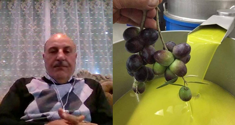 محمد النصراوي: مفاوضات الترفيع في حصة صادرات تونس مالزيت لأوروبا مش ساهلة