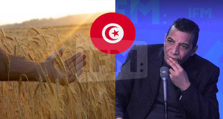 خليل: نتبكاو عالقمح الأوكراني وأحنا عنا جزء كبير مالأراضي الفلاحية مش مستغل 