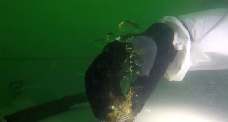 فيديو يوثق آخر مستجدات تدخل جيش البحر في علاقة بغرق باخرة اكسيلو  