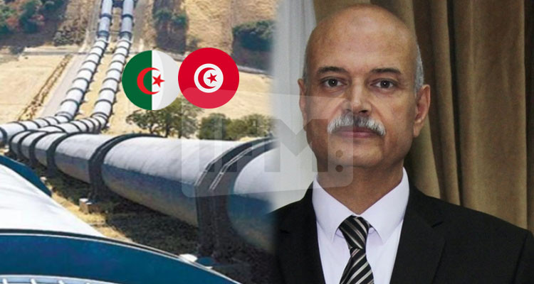 خبير دولي في الطاقة يوضح حول إمكانية عدم توفير الجزائر حاجيات تونس من الغاز