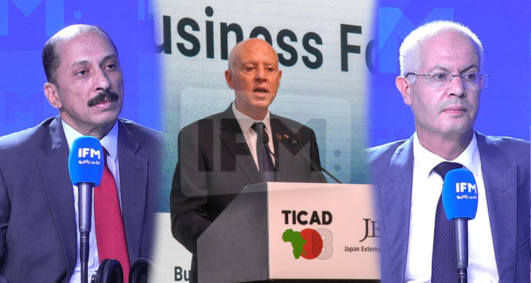 عماد الحمامي: ماذابينا محمد عبو يقلنا شنوة الضغوط الخارجية عالرئيس