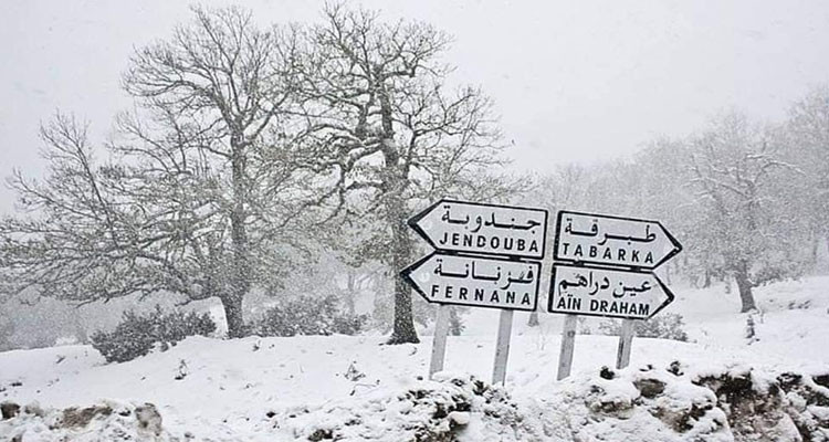 وفاة عسكري إثر انقلاب شاحنة رباعية الدفع بإحدى طرقات معتمدية عين دراهم