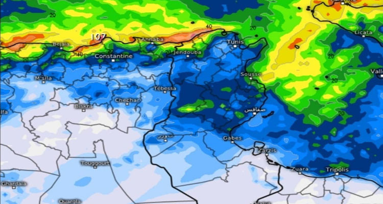 محرز الغنوشي: أمطار متفرقة مع توقع تساقطات ثلجية بداية من مساء الأربعاء