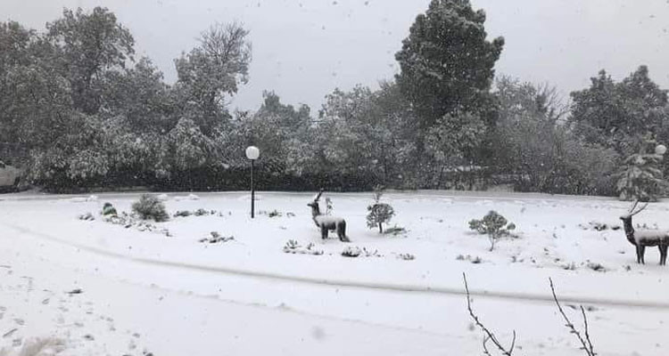 أجواء شتوية خالصة تميّز طقس الليلة 