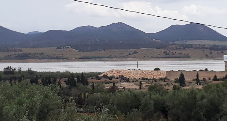 زغوان: ارتفاع مخزون السدود بحوالي 2.5 مليون متر مكعب 