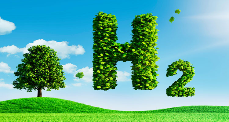 تونس قادرة على تصدير أكثر من 5،5 مليون طن من الهيدروجين الأخضر نحو أوروبا بحلول 2050