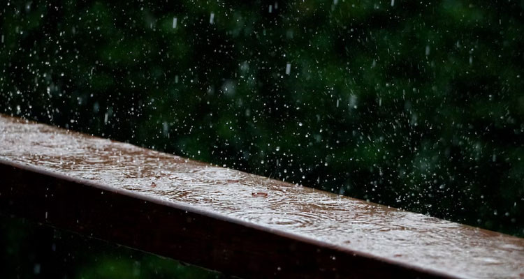 أمطار ضعيفة ومحلية بعدد من معتمديات الشمال والوسط الغربي خلال الليلة القادمة