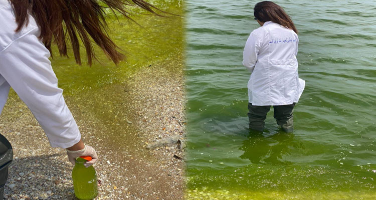 معهد علوم وتكنولوجيا البحار يكشف سبب تغير لون البحر في حمام الألف-الزهراء