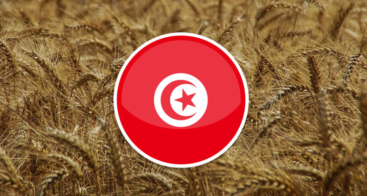 أنيس خرباش: توقعات انتاج الموسم الحالي من الحبوب لا تتجاوز 2،5 مليون قنطار