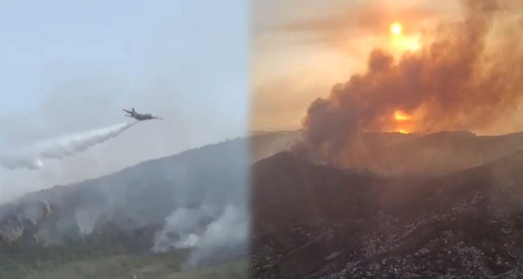 وزارة الدفاع: المروحيات العسكرية تدخلت في 45 مناسبة في ملولة وسجنان لإطفاء النيران