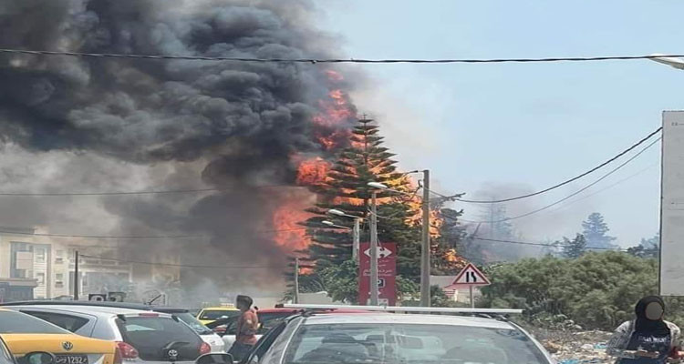 أريانة: السيطرة بنسبة 70% على حريق اندلع بمنطقة شطرانة 1