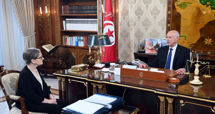 الرئيس سعيد: من يعتقد أنه قادر على إرباك مؤسسات الدولة بنشر الأخبار الزائفة فهو مخطئ في العنوان