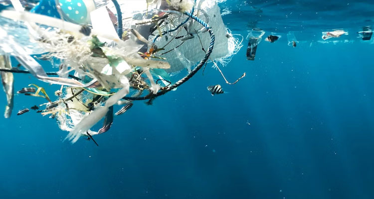 تقرير: الفرد من سكان شمال افريقيا يلوث المحيطات بأكثر من 6 كغ من النفايات البلاستيكية سنويا